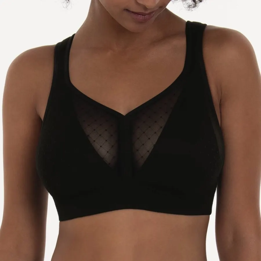 Rosa Faia Eve 5211