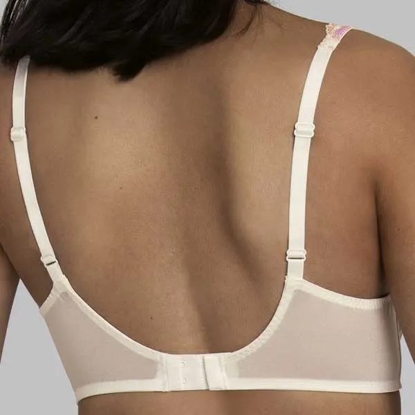Rosa Faia Colette 5248