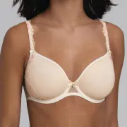 Rosa Faia Colette 5251
