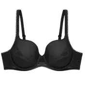 Triumph Wild Rose Sensation WP